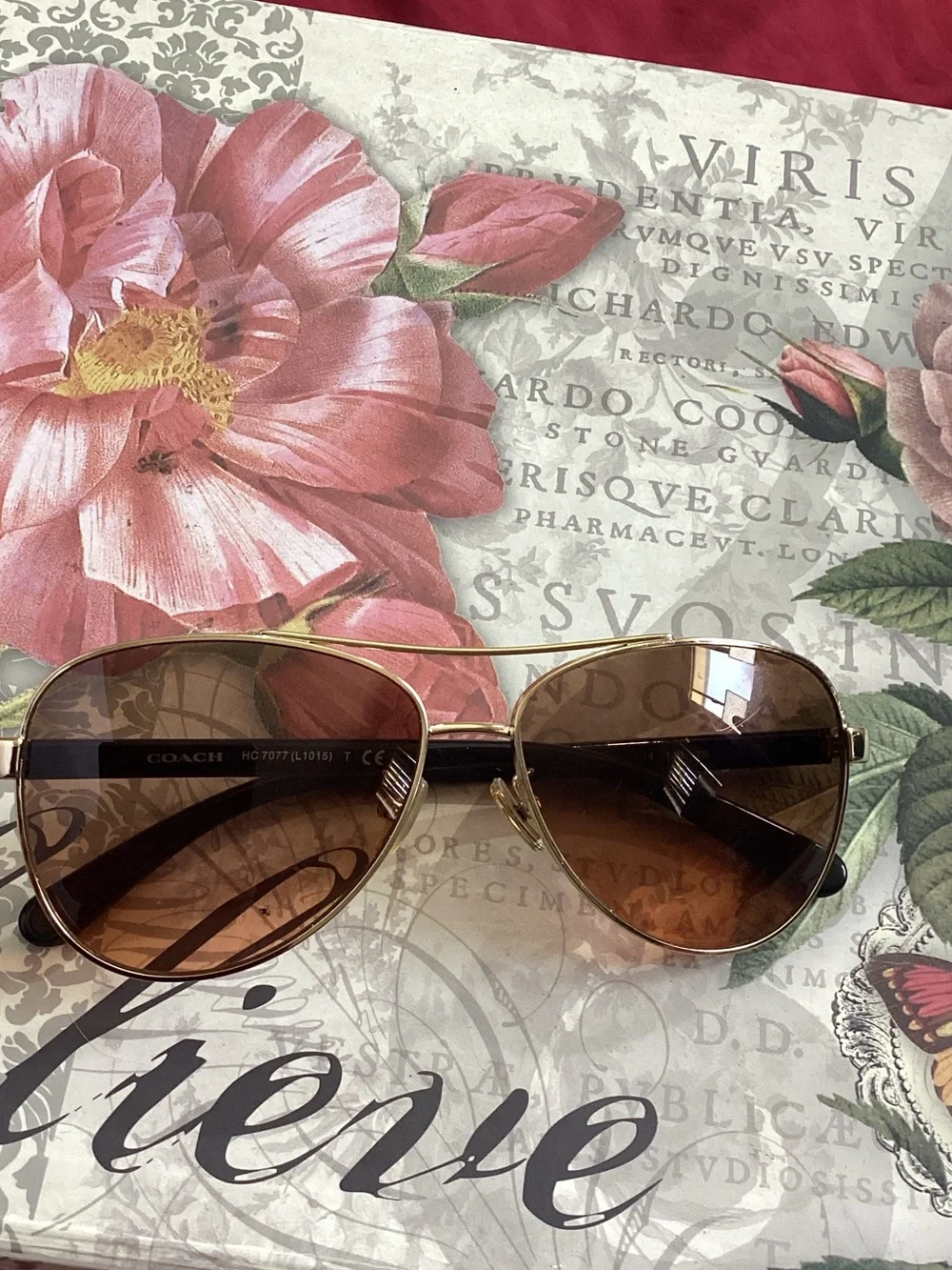 Coach Women's Brown Aviator Sunglasses
